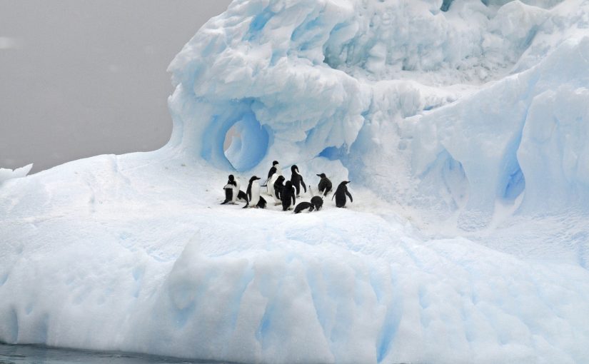 Antarctica