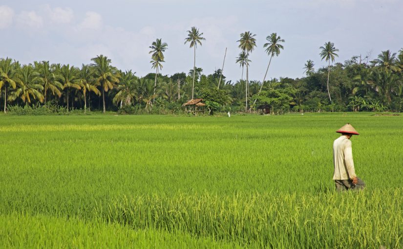 Indonesië
