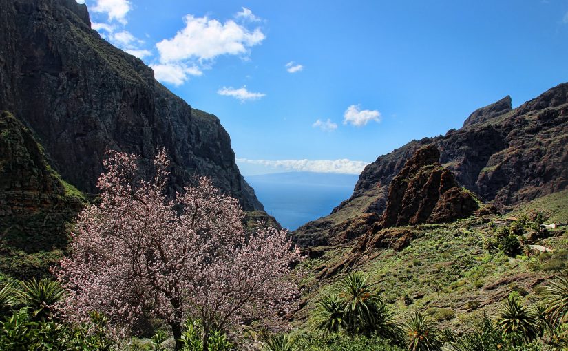 Tenerife