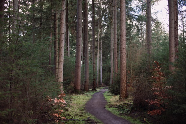 Gelderland slaapplekken